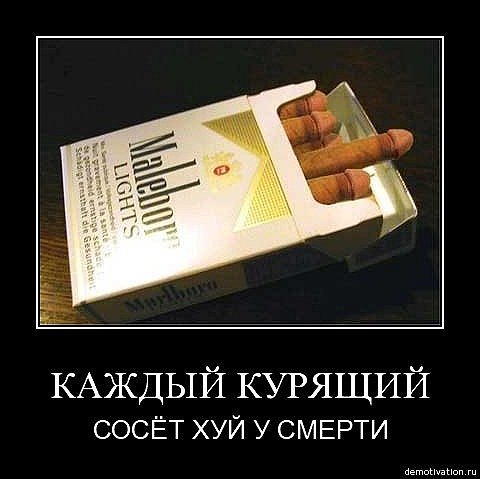Курящая Сосет Порно