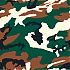 Аватар для camouflagesun