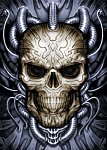 poster Skull cherep 515